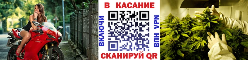 Какие есть наркотики Каменка Alpha PVP  Меф мяу мяу  Гашиш  МЕТАДОН  КОКАИН  Каннабис  АМФЕТАМИН 
