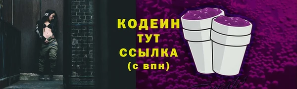 дмт Рославль