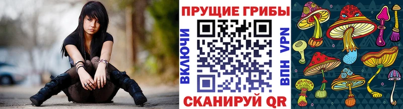 как найти закладки  Каменка  Псилоцибиновые грибы Magic Shrooms 